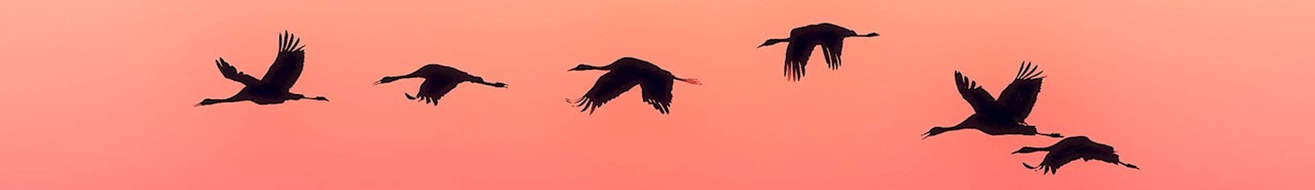 Los vientos del cambio